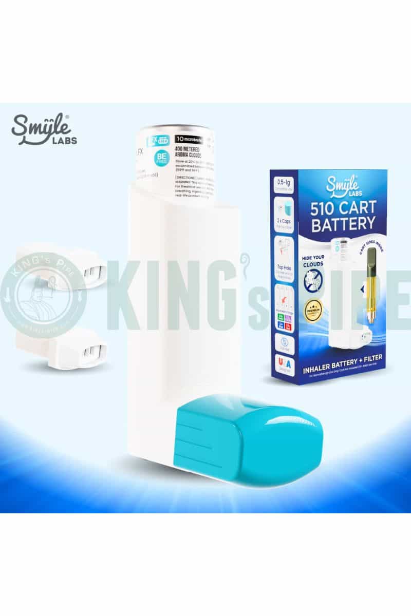 Smyle Labs Inhaler 510 Penjamin Battery + Cloud Filters White